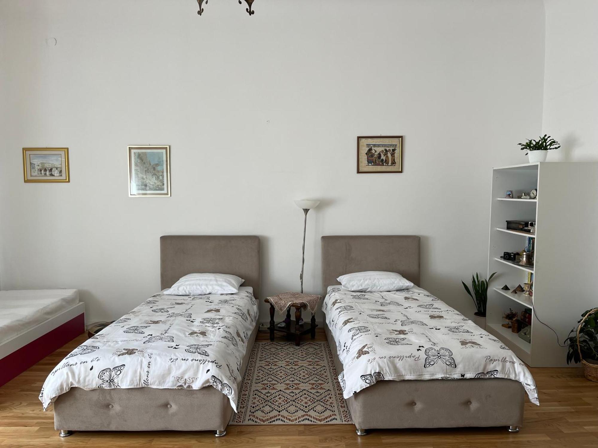 The Best Location Salon Apartment With Main Street View Сараєво Екстер'єр фото